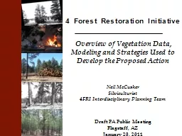 4 Forest Restoration Initiative