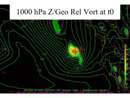 1000  hPa  Z/Geo  Rel   Vort