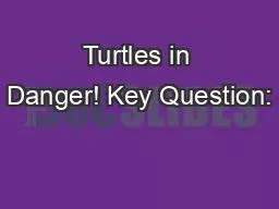 Turtles in Danger! Key Question: