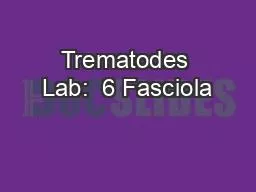 Trematodes Lab:  6 Fasciola