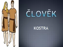 člověk KOSTRA kostra Je oporou našeho těla.