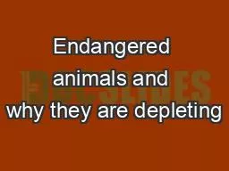 PPT-Endangered animals and why they are depleting