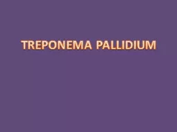 TREPONEMA PALLIDIUM e s una bacteria Gram Negativa, espiroqueta altamente contagiosa,