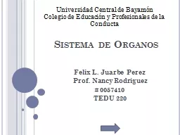 PPT-Sistema de Organos Felix L.