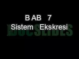 B AB   7 Sistem   Ekskresi