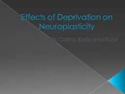 Effects of Deprivation on Neuroplasticity