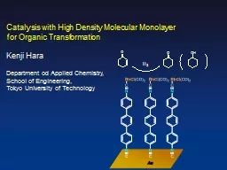 Catalysis with High Density Molecular Monolayer