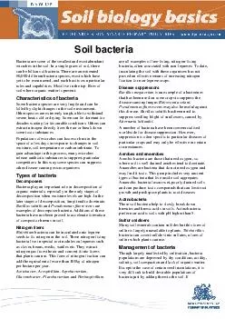 Soil bacteria Bacteria are some of the smallest and most abundant microbes in the soil