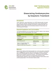 iCell Cardiomyocytes Application Protocol Dissociating