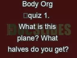 Body Org 	quiz 1.  What is this plane? What halves do you get?