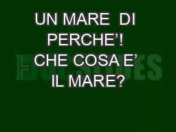 UN MARE  DI PERCHE’! CHE COSA E’ IL MARE?