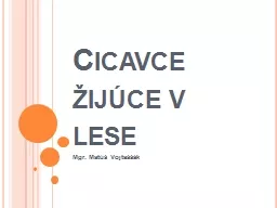 Cicavce žijúce v lese Mgr. Matúš Vojtaššák