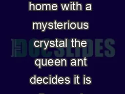 Plot Summary hen an ant scout returns home with a mysterious crystal the queen ant decides