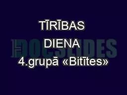 TĪRĪBAS DIENA 4.grupā «Bitītes»