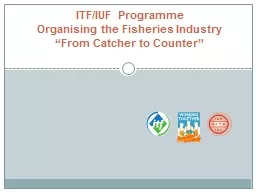 ITF/IUF Programme  Organising the Fisheries Industry