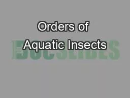 Orders of Aquatic Insects
