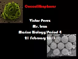 PPT-Coccolithophores Victor Perez