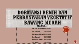 PPT-DORMANSI BENIH DAN PERBANYAKAN VEGETATIF BAWANG MERAH