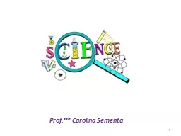 1 Prof. ssa  Carolina Sementa