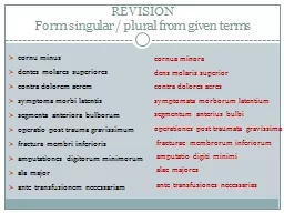 REVISION Form   singular