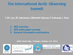 The  International  Arctic Observing Summit