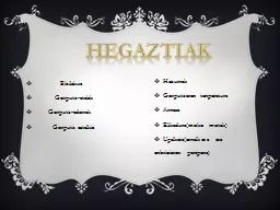 PPT-hegaztiak Bizilekua