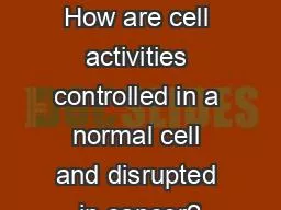 Cancer  Lesson 2.4   How are cell activities controlled in a normal cell and disrupted