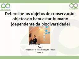 Determine os objetos de conservação: