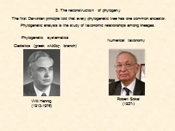 3. The reconstruction of phylogeny