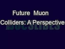 PPT-Future Muon Colliders: A Perspective