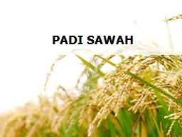 PADI SAWAH Peningkatan produktivitas padi minimal 0.3 ton/ha