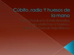 Cúbito, radio Y huesos de la mano