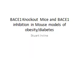 PPT-BACE1 Knockout Mice and BACE1 inhibition in Mouse models of obesity/diabetes