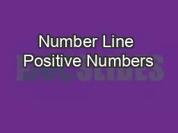 Number Line Positive Numbers
