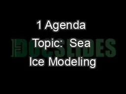 1 Agenda Topic:  Sea Ice Modeling
