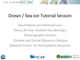 PPT-Ocean / Sea-ice Tutorial