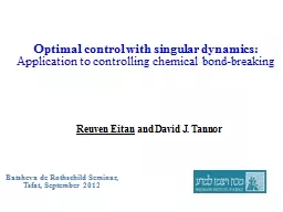 Optimal  control with singular dynamics: