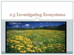 PPT-2.5 Investigating Ecosystems