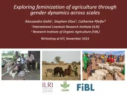 Exploring feminization of agriculture through gender dynamics across scales