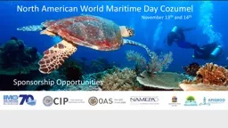 North American World Maritime Day Cozumel