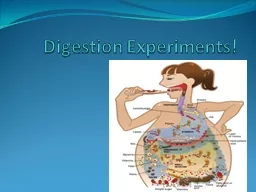 Digestion Experiments! Group members: