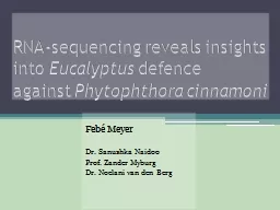 PPT-RNA-sequencing reveals insights into