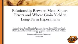 Relationship  B etween Mean Square Errors and Wheat Grain