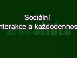 Sociální interakce a každodennost