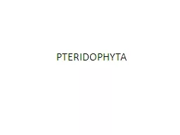 PTERIDOPHYTA INTRODUCTION