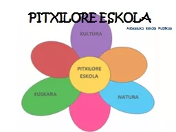 PITXILORE ESKOLA Asteasuko Eskola Publikoa