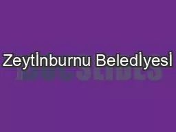 Zeytİnburnu Beledİyesİ