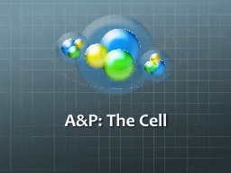 A&P: The Cell The Plasma Membrane