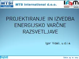 PROJEKTIRANJE IN IZVEDBA ENERGIJSKO VARČNE RAZSVETLJAVE