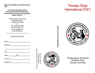 Therapy dogs international